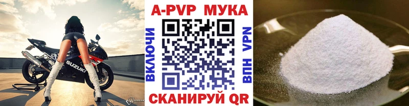 shop официальный сайт Сураж А ПВП крисы CK