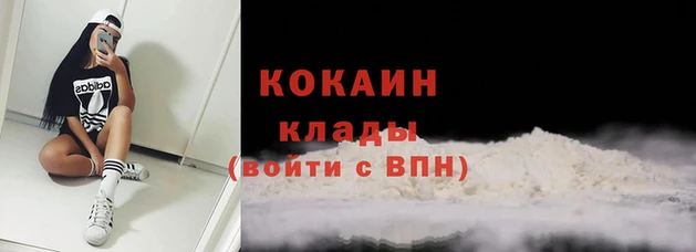 spice Алзамай