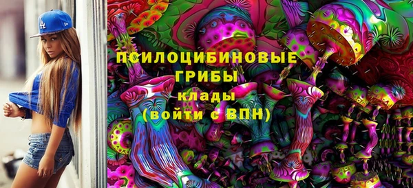 spice Алзамай